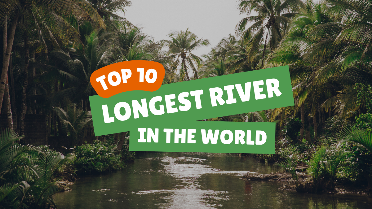 Top 10 Longest Rivers in The World